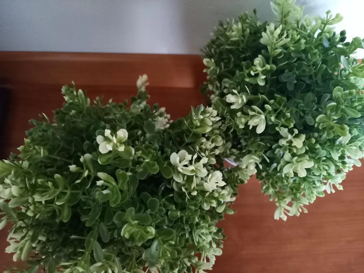 Apartment Presolana Home Castione della Presolana Italy